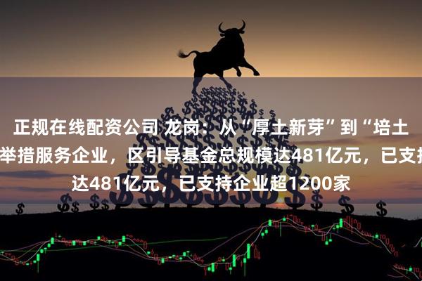 正规在线配资公司 龙岗：从“厚土新芽”到“培土倍增” 该区创新举措服务企业，区引导基金总规模达481亿元，已支持企业超1200家